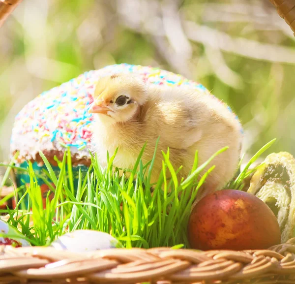 Ostern. Osterdekoration in einem Korb. Frühling. Selektiver Fokus. — Stockfoto