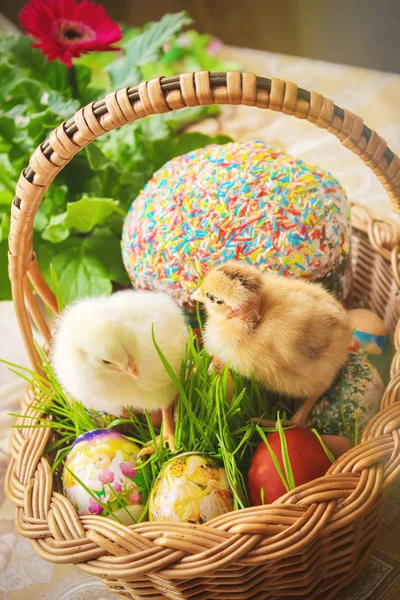 Pasqua. Decorazioni pasquali in un cesto. Primavera. Focus selettivo . — Foto Stock