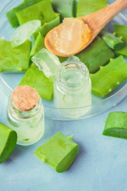 Aloe Vera özü küçük bir şişe ve parça tablo. Seçici odak. 