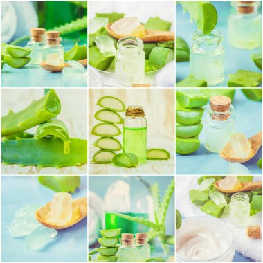 Aloe Vera özü küçük bir şişe ve parça tablo. Çok sayıda fotoğraf kolaj. Seçici odak. 