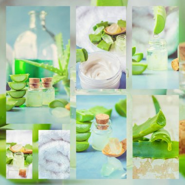 Aloe Vera özü küçük bir şişe ve parça tablo. Çok sayıda fotoğraf kolaj. Seçici odak. 