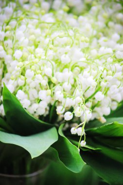 buket çiçek açan zambaklar. seçici odak. 