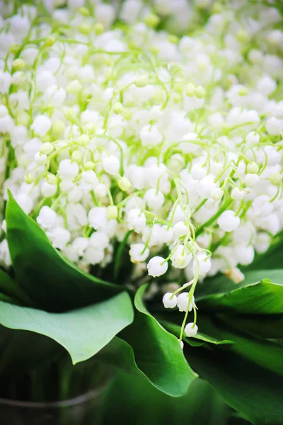 buket çiçek açan zambaklar. seçici odak. 