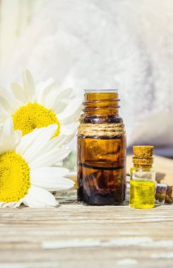 Papatya uçucu yağ küçük bir şişe içinde. Seçici odak.