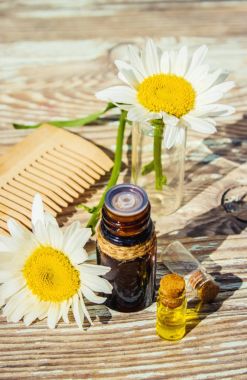 Papatya uçucu yağ küçük bir şişe içinde. Seçici odak.