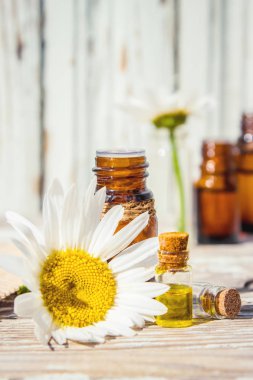 Papatya uçucu yağ küçük bir şişe içinde. Seçici odak.