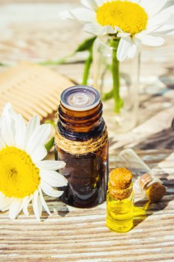 Papatya uçucu yağ küçük bir şişe içinde. Seçici odak.