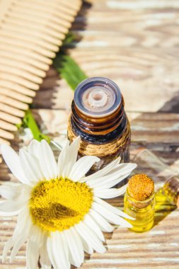 Papatya uçucu yağ küçük bir şişe içinde. Seçici odak.