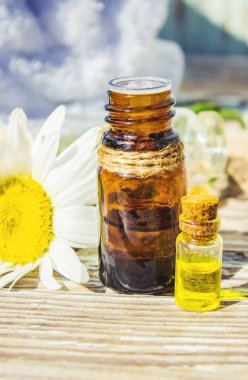 Papatya uçucu yağ küçük bir şişe içinde. Seçici odak.