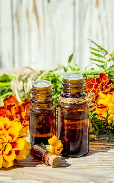 Eterisk olja av chernobrivtsev, marigold i en liten flaska. Selektivt fokus. — Stockfoto