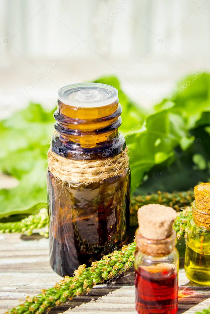 Essential oil of plantain in a small bottle. Selective focus. 