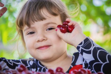 Çocuk bahçede kiraz topluyor. Seçici odak.