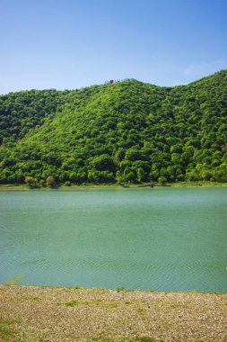 Kafkas Dağları, Georgia. Seçici odak.