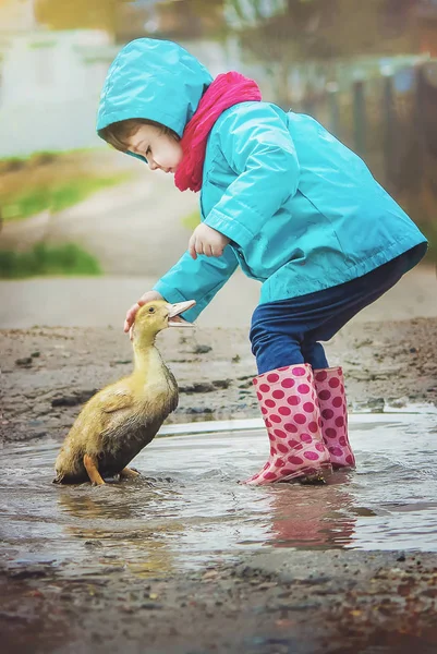 Girl with a duck on his arm. Selective focus.