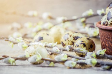 bıldırcın yumurtası güzel bahar arka plan üzerinde. Seçici odak. 