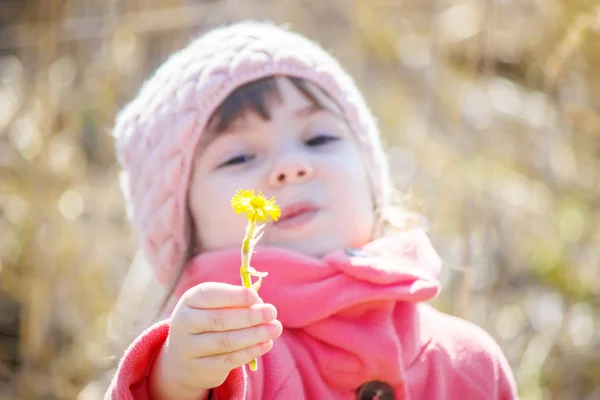 Chica con flores amarillas primaverales primero. Enfoque selectivo . —  Fotos de Stock