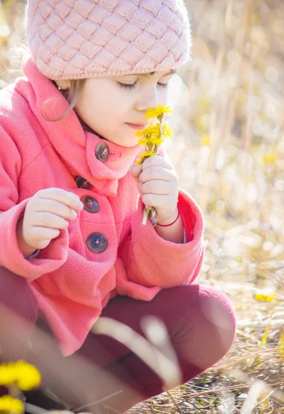 Chica con flores amarillas primaverales primero. Enfoque selectivo . —  Fotos de Stock