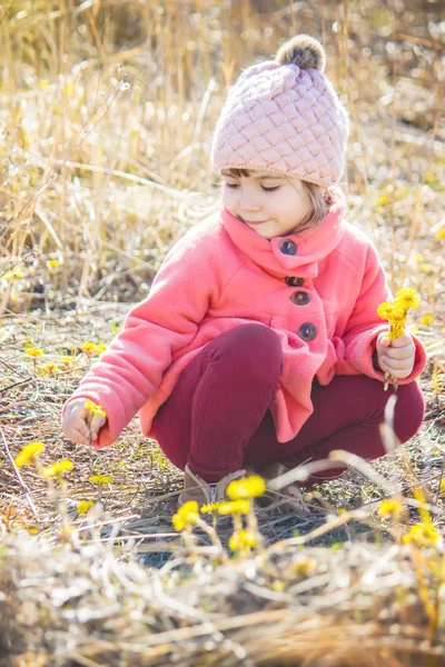 Дівчина з весняними жовтими квітами. Вибірковий фокус . — стокове фото