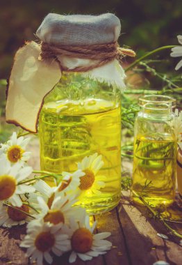 Tıbbi papatya. Homeopati. Seçici odak. 