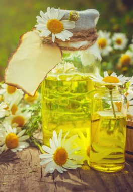 Tıbbi papatya. Homeopati. Seçici odak. 