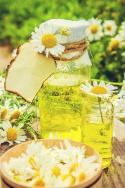 Tıbbi papatya. Homeopati. Seçici odak. 