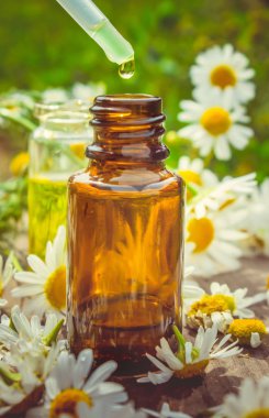 Tıbbi papatya. Homeopati. Seçici odak. 