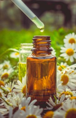 Tıbbi papatya. Homeopati. Seçici odak. 