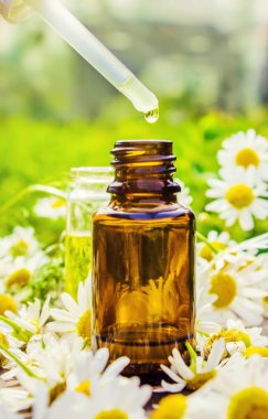 Tıbbi papatya. Homeopati. Seçici odak. 
