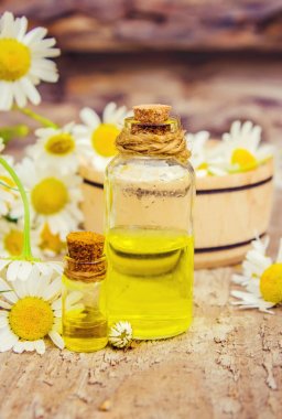 Tıbbi papatya. Homeopati. Seçici odak. 