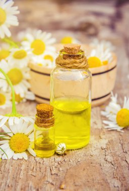 Tıbbi papatya. Homeopati. Seçici odak. 