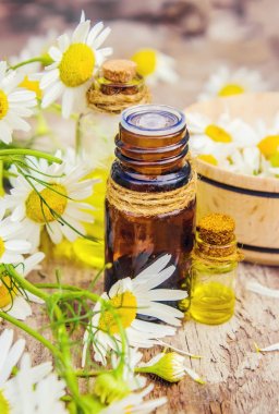 Tıbbi papatya. Homeopati. Seçici odak. 