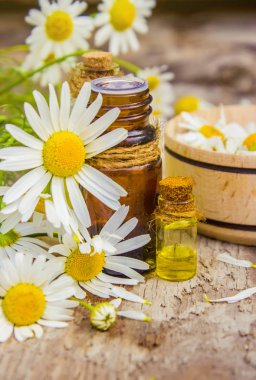 Tıbbi papatya. Homeopati. Seçici odak. 