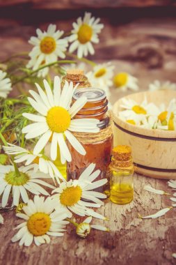 Tıbbi papatya. Homeopati. Seçici odak. 