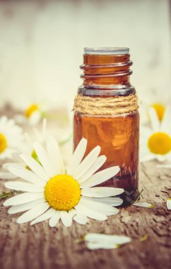 Tıbbi papatya. Homeopati. Seçici odak. 