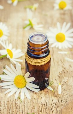 Tıbbi papatya. Homeopati. Seçici odak. 