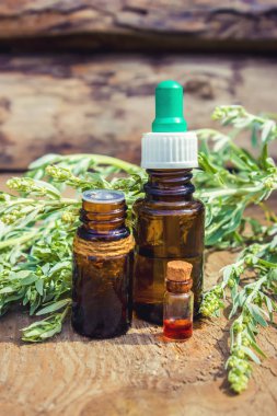 Pelin acı. Homeopati. Seçici odak.