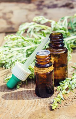 Pelin acı. Homeopati. Seçici odak.