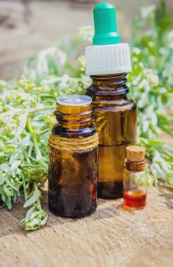 Pelin acı. Homeopati. Seçici odak.