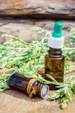Pelin acı. Homeopati. Seçici odak.