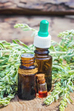 Pelin acı. Homeopati. Seçici odak.