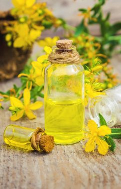 St. John otlu otları. Homeopati. Seçici odak.