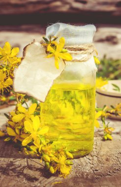 St. John otlu otları. Homeopati. Seçici odak.