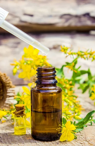 St. Janskruid medicinaal. Homeopathie. Selectieve focus. — Stockfoto