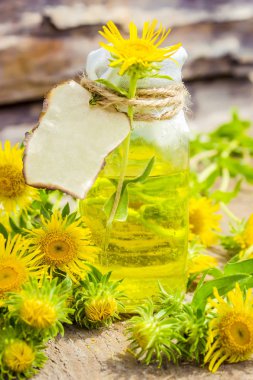 Nard. Homeopati. Seçici odak. 