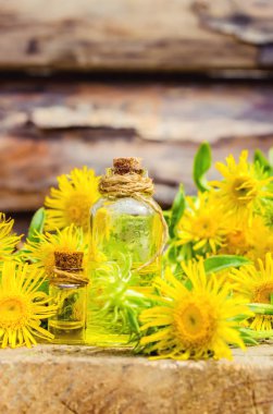 Nard. Homeopati. Seçici odak. 