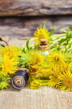 Nard. Homeopati. Seçici odak. 