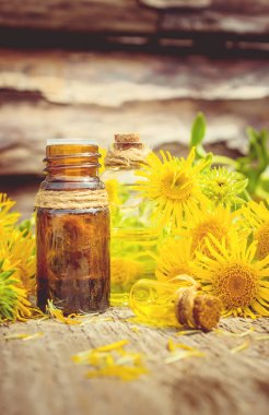 Nard. Homeopati. Seçici odak. 