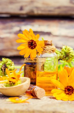 Calendula tentür küçük bir şişe içinde. Seçici odak. 