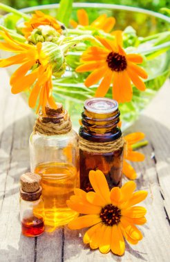 Calendula tentür küçük bir şişe içinde. Seçici odak. 