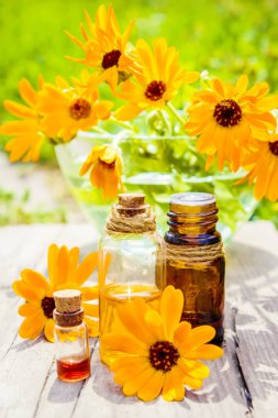 Calendula tentür küçük bir şişe içinde. Seçici odak. 